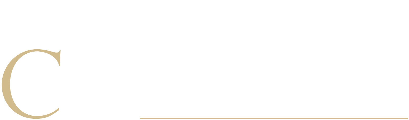 CQ Strategies and Consulting
